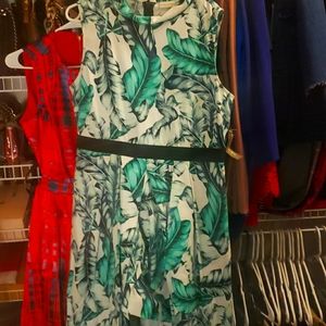 Fit and flare dresses